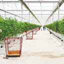 Üretim altyapısı artıyor: Tarıma dokuz yeni organize bölge