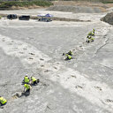 166 milyon yıllık keşif: Taş ocağı çalışanı ortaya çıkardı