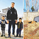 Yüksekova halkı korku içinde: Sahipsiz köpekleri toplayın!