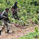 Inde: 14 rebelles maoïstes tués dans une opération des forces de sécurité