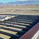 Ağrı Dağı eteklerinde kuruldu, her şeyi para ediyor: Türkiye'nin dört bir yanından almak için geliyorlar