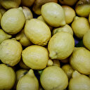 صادرات الحمضيات التركية تتجاوز مليار دولار في 2024