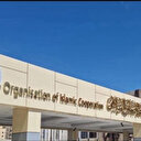 L'OCI rejette les projets de déplacement des Palestiniens et soutient leur droit à la terre