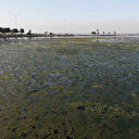 Çevre Biyoçeşitlilik ve İklim Değişikliği Uzmanı Prof. Dr. Yaşar uyardı: İzmir’de bütün zamanların en kötü halini yaşıyoruz