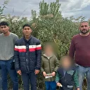 Edirne'de 6 kaçak göçmen yakalandı