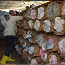 Zorlu arazi koşullarında 35 yıldır bu işi yapıyor: Kilosu 2 bin lira