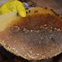 Babasının yaptığı kara kovan arıcılığını zorlu arazi koşullarında 35 yıldır sürdürüyor