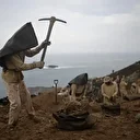 Au Pérou, le guano, trésor agricole menacé