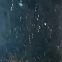 Çankırı’da kar yağışı başladı