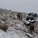 Niğde'de kar yağışı etkili oldu: Dört dağcı mahsur kaldı