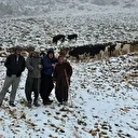 Aniden kar bastırdı: Yaylada mahsur kalan kadın kurtarıldı