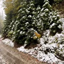 Bolu'nun yüksek kesimlerine kar yağdı