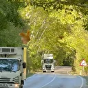 Bu yol görenleri hayran bırakıyor: İrlanda ve Japonya'daki ağaç tünellerini aratmıyor