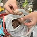 Bursaspor taraftarına bozuk köfte satılacaktı: Zabıta ekipleri faciayı son anda önledi