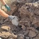 Zehir tacirlerinden tezekli sığınak: Silah ve mühimmat da ele geçirildi