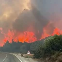 Çanakkale'de yangınlardan zarar gören alanlar yeniden ormana dönüşecek
