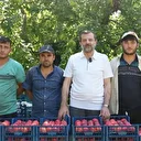 Gürsu tarımında yepyeni bir dönem başladı