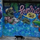 Cartagena’nın Kalbinde Yeniden Doğan Mahalle: Getsemani