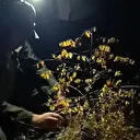 Bursa ormanlarında kaçak av operasyonu: 6 ses düzeneği ele geçirildi