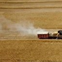 Çiftçilere 471,6 milyon lira destekleme ödemesi bugün yapılacak