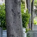 Eyüpsultan Mezarlığı’nda bomba ihbarı : Ekipler harekete geçti