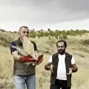 Çok ender görülüyordu: Peçeli baykuş yeniden yaban hayatta