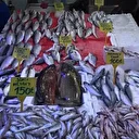 Hamsini kilosu 300 TL’den 100 TL’ye düştü: Vatandaş tezgahlara akın etti