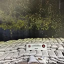 Ankara'da 12 ton 900 kilogram kaçak tütün ele geçirildi