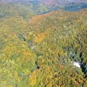 Bolu Dağı Tüneli çevresi sonbahar ile birlikte görsel şölene dönüştü