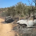 İşgalciler Batı Şeria'da Filistinlilerin araçlarını ateşe verdi