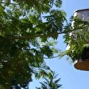 Adana'da ekim ayında yazdan kalma günler yaşanıyor