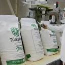 Bakanlıktan yeni açıklama: Şeker pancarı alım fiyatı güncellendi! Şeker pancarı alım fiyatı ne kadar oldu?