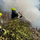 Ormanlık alanda çöp yangını büyümeden söndürüldü