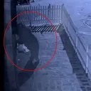 Rizelinin ayı ile imtihanı: Kamere kaydını izlediğinde şaşkına döndü