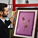 Botanik bahçesindeki bitkileri, el yapımı kağıtlarla geleceğe taşıyor