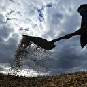 Tarımsal destek ödemesi ne zaman yatacak? Çiftçi destek ücreti hesaplara yattı mı? 2025 Ekim ayı Tarımsal Destek ödemesi sorgulama
