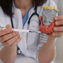 İyot tiroid hormonlarının üretiminde kritik rol üstleniyor