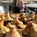 Melki, Epcin, Kanlıca ve Dedebölük: Semt pazarlarında mantar bolluğu yaşanıyor