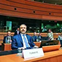 Gazze için eş güdüm çağrısı