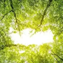 Emine Erdoğan'dan "Yeşil Vatan Seferberliği"ne destek çağrısı