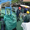 Karadeniz'de balık stoklarının araştırılmasına yönelik çalışmalar devam ediyor