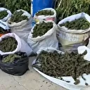 Jandarmadan tacirlerin üretim merkezine nokta operasyon