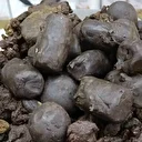 Binbir emekle hazırlanıyor, 50 gramı bin 250 lira: Onlarca hastalığa iyi geliyor, herkes sipariş veriyor