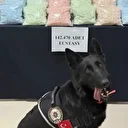 Karaman’da 71 milyon liralık uyuşturucu hap ele geçirildi