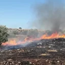 حماس: هجمات المستوطنين ضد مزارعي الضفة "إرهاب منظم"