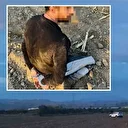 JASAT firari uyuşturucu tacirlerini tarlada yakaladı