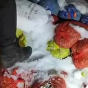 Kaçak avlanan 2 ton midye ele geçirildi