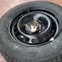 Sıkışan yavru kediyi itfaiye kurtardı