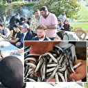 2 saatte 3 ton hamsi yediler