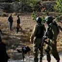 Filistin topraklarını gasbeden İsrailliler, Batı Şeria'da zeytin hasadı yapan Filistinlilere saldırdı